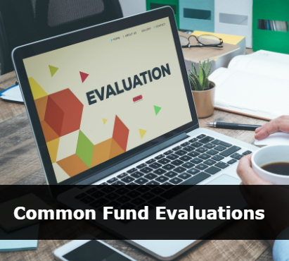 Common Fund Evaluations